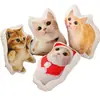 Almofadas Personalizadas com Formatos e Fotos, Almofadas de Animais Fofas para Gatos e Cachorros, Almofadas de Desenho Animado de Lado Único ou Duplo, Personalizado Atacado