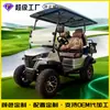 Turismo Escénico Carrito de Golf Fábrica Hotel Bienes Raíces Recepción RV 2-8 Carrito de Golf Transfronterizo