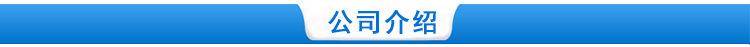 公司介绍