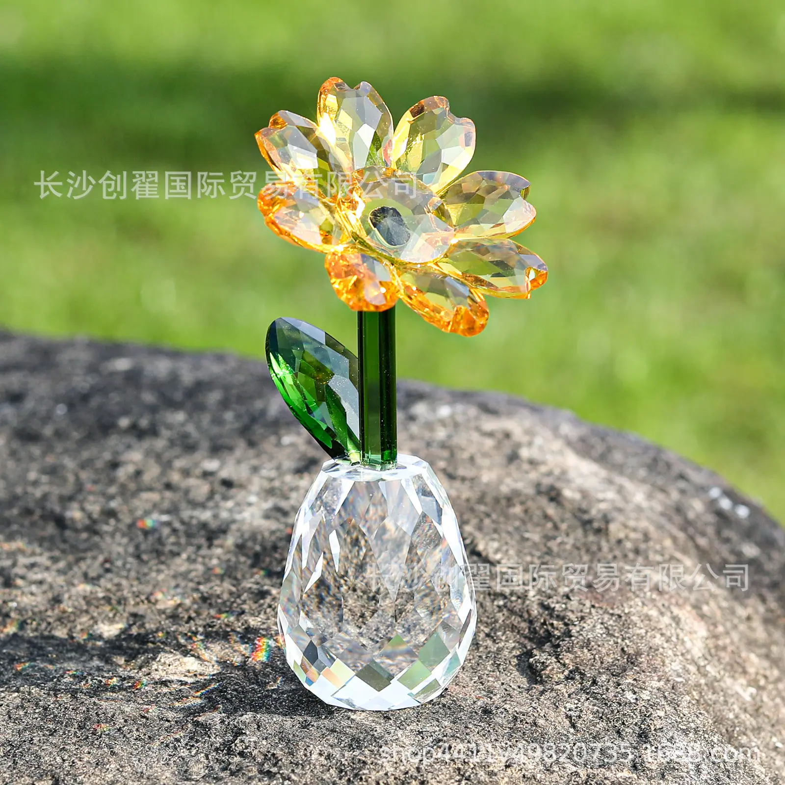 太阳花_10.jpg
