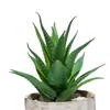 Maceta de planta suculenta artificial maceta falsa de aloe decoración plato de pegamento suave flor de plástico comercio exterior Venta al por mayor