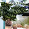 Tanque de Peces Montado en la Pared, Taza para Plantar Plantas Acuáticas, Cesta de Cultivo Hidropónico Transparente, Cesta Colgante Especial para Decoración de Paisajismo con Plantas Verdes para Acuario
