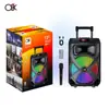 BT-1211 exportación de fábrica altavoz de carro para exteriores karaoke micrófono inalámbrico altavoz Bluetooth de 12 pulgadas