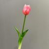 Nueva flor artificial individual pegamento suave Tulipán PE látex silicona flor de tulipán tacto Tulipán multicolor en stock