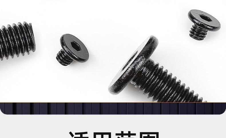 氧化发黑CM内六角薄头机牙螺丝_03_20.jpg