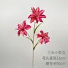 Decoração de Casamento com Materiais Florais Vermelho-Rosa, Folhas Artificiais, Rosas e Arranjos Florais para o Salão do Casamento e Painel de Fundo