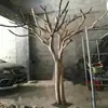 Troncos de Árbol, Troncos de Árbol Falsos, Ramas Decorativas de Árbol, Troncos de Árbol Decorativos para Cafeterías, Troncos de Árbol Muertos, Ramas, Metabo