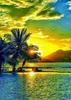Pintura de diamantes 5D de Amazon, con diseño de atardecer, luna, planta, árbol y paisaje, pintura decorativa DIY, fabricantes, venta al por mayor, superventas