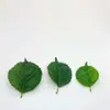 Fabricante Simulación Planta Materiales a Juego Accesorios Decoración de Pared de Planta Verde Falsa Planta de Plástico Césped Ramo de Flores Artificiales Hojas Venta al por Mayor
