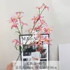 Flor de Estrella Larga Simulada Flor Artificial Falsa Flor Lila Arreglo Floral de Boda de Gama Alta Decoración de Sala de Estar Adornos Arte Floral