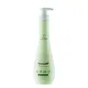 Champú herbal Suxiuchen de savia de abedul y Polygonum multiflorum anti-picazón, anti-caspa, suave, fragante, control de grasa, fabricante en stock