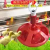 Tigela Grande para Beber para Criação, Bebedouro Automático para Patinhos e Gansos, Bebedouro de Linha de Água, Bebedouro para Pombos, Equipamento de Alimentação de Água