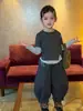 Ropa Infantil Winnie Fruit Otoño 2026 Nuevas Llegadas Ropa Infantil Camiseta para Niñas Diseño de Dobladillo Falso de Dos Piezas Camiseta Falsa de Dos Piezas