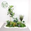 Paisajismo de Plantas Verdes Paisajismo de Balcones Decoración de Plantas Artificiales para Interiores y Exteriores Planta Viajera Plátano Espalda de Tortuga Planta Debajo de las Escaleras Paisajismo