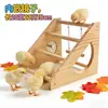 Percha de Madera para Pollo Transfronteriza Percha de Entrenamiento para Gallo Gallina Espejo para Mascota Gallinero Suministros para Granja de Pollos