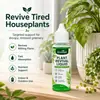 Líquido Revitalizante para Plantas Kineshinex, Solução Nutritiva para Plantas Verdes e Flores, Reparo para Folhas Amareladas Murchas em Plantas de Vaso, Etc.