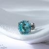 Henson Advanced Sense Clavija de Oreja de Cuatro Garras con Corte de Nido de Pájaro Zirconio Clavo de Hueso de Oreja Clavo de Oreja Varilla Fina Tornillo de Acero de Titanio