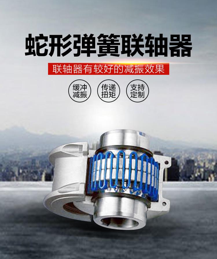 JSB型蛇形弹簧联轴器-01.jpg