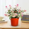 Planta Trepadeira com Flores e Folhagens Coloridas para Todas as Estações, Planta em Vaso com Folhagem Colorida, Planta para Cesto Suspenso, Planta Trepadeira para Varanda, Planta Verde, Planta de Jardim, Planta Suspensa