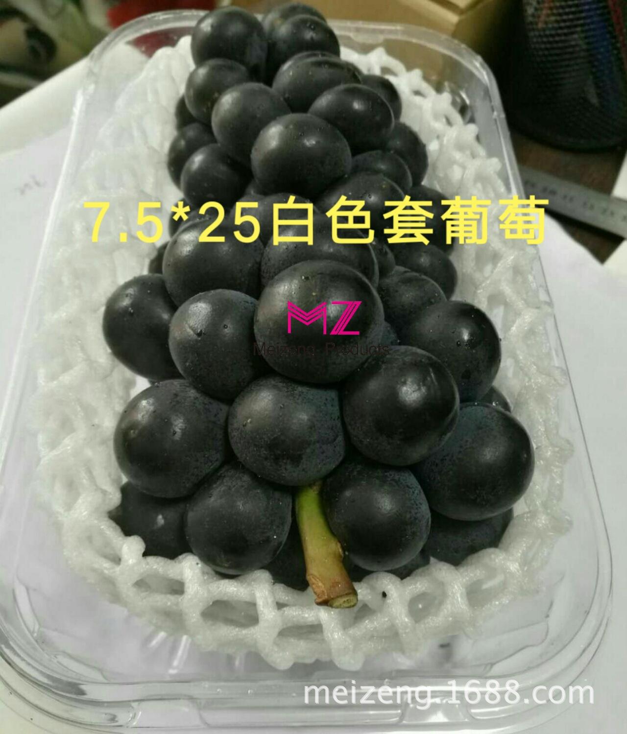 水果泡沫网套 (86)