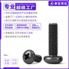 Tornillos de acero inoxidable 304 de cabeza de cruz PM tratados con spray salino tornillos de cabeza de lenteja de zinc negro cola plana tornillos pequeños electrónicos m1m6