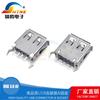 Conector de interfaz USB vertical con curvatura de pie rizado, enchufe recto de 180 grados, asiento hembra tipo A