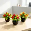 Simulación transfronteriza de 5 árboles frutales, plantas pequeñas en maceta, fruta de la suerte de Año Nuevo, bonsái de plástico, mini adornos decorativos de escritorio