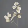 Folha de Eucalipto Dupla Face Flor Artificial de Interior Filme com Sensação de Planta Nórdica Folha de Dinheiro Arranjo de Flores para Casa Casamento Folha de Outono