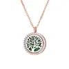Collar Difusor de Aromaterapia para Mujer, Colgante Hueco en Oro Rosa, Puede Contener Aceites Esenciales, Apertura y Cierre Magnéticos, Venta al por Mayor de Joyería