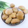 Guijarros, Piedras Flor de Lluvia, Piedras en Bruto, Paisajismo para Acuarios, Flores de Cultivo Hidropónico, Piedras Pequeñas, Macetas, Plantas en Maceta, Piedras Decorativas Multicolor
