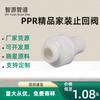 Accesorios de tubería termofusible para plomería PPR, válvula de retención de plástico completa, válvula de retención de agua espesada, válvula de retención PPR