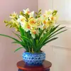 Coleção Completa de Florais, Orquídeas com Fragrância Forte, Florais Multiflorais Florescendo em Todas as Estações, Florais e Plantas Verdes em Vasos