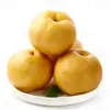 Pera Qiuyue de Laiyang Fruta Fresca 2.5kg Crujiente, Dulce y Jugosa Cosecha de Temporada Caja Entera Azúcar de Roca Pera Qiuyue de Shandong