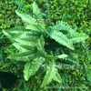 Accesorios para Paredes de Plantas Artificiales, Decoraciones de Maceteros con Flores de Plantas Verdes Falsas, Hojas de Monstera de Plástico, Ramilletes de Flores Artificiales, Vegetación Falsa