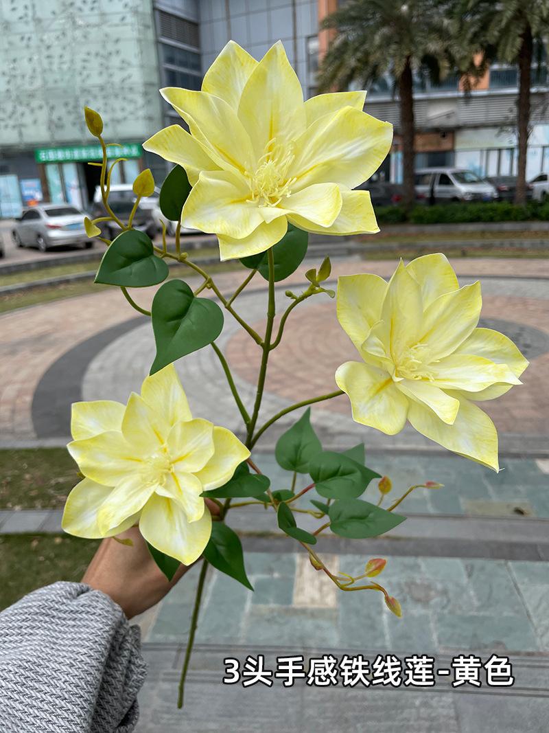 聚美-3叉文士兰-SKU