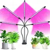Luz de Cultivo para Suculentas de Espectro Completo para Realzar el Color y Prevenir el Crecimiento Excesivo, Adecuada para Cultivo de Plantas de Interior en Casa, Luz Tubular LED Multicabeza para Cultivo de Plántulas