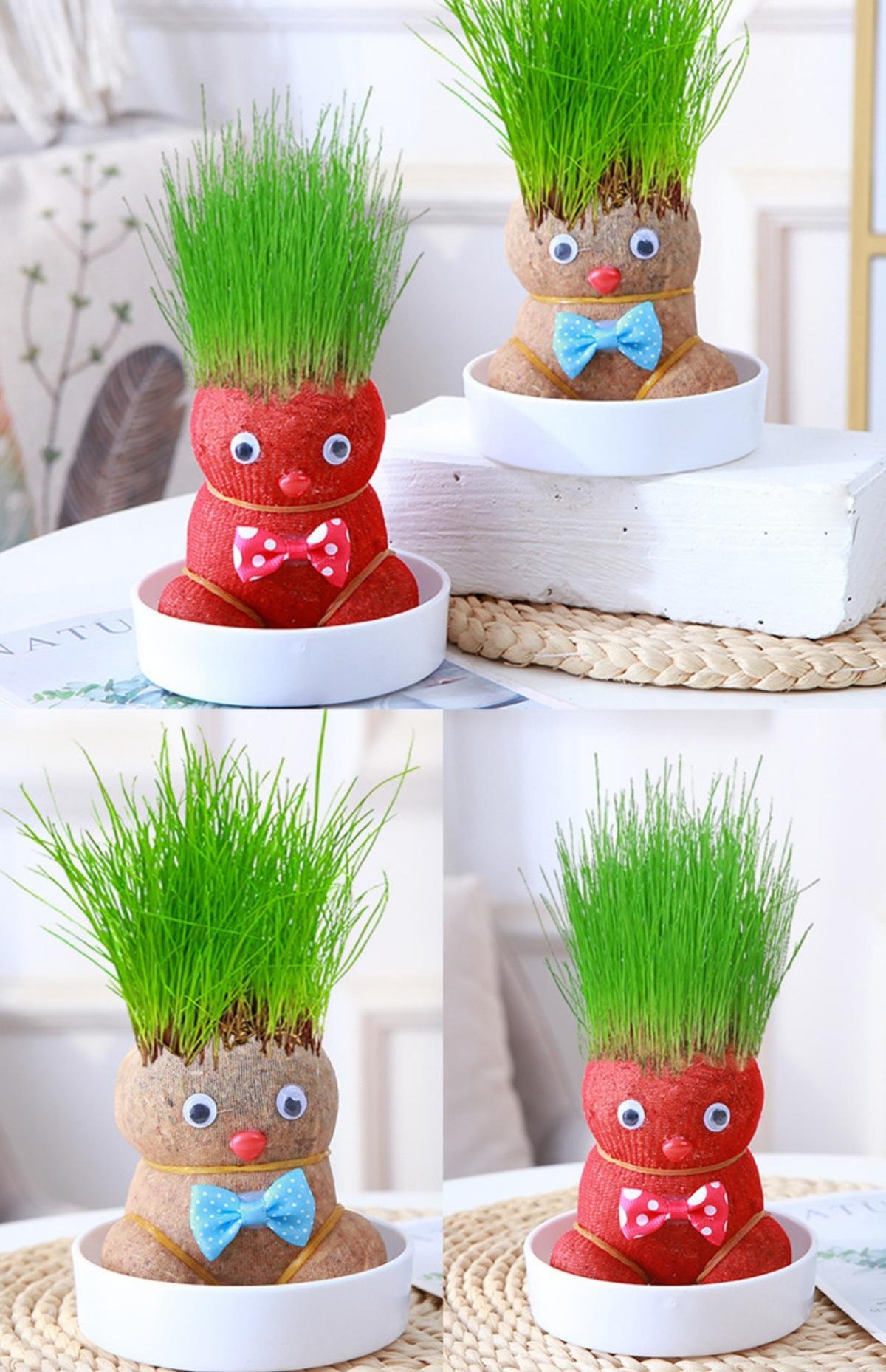 复制_diy创意草头娃娃绿植桌面水培儿童好养长.jpg