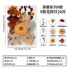 Materiais DIY de flores secas, marcadores de página de resina, luminárias de mesa com flores prensadas, espécimes de plantas com flores reais, materiais de decoração para porta-retratos com flores prensadas