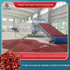 Secador de pimenta com pigmento de correia de malha, linha de montagem para lavagem e secagem de pimenta, secador industrial de pimenta Yunnan