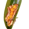 Zongzi de Gema de Ovo e Carne Fresca, Zongzi de Casca de Gelo Estilo Jiaxing, Caixa de Presente do Festival do Barco-Dragão, Presente em Lote, Embalado Individualmente a Vácuo