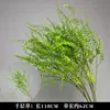 Plantas Verdes, Hierba de Junco, Hierba Bigote de Dragón, Fondo de Boda, Paisajismo de Ventana Floral, Flores Decorativas para Boda en Bosque Blanco y Verde