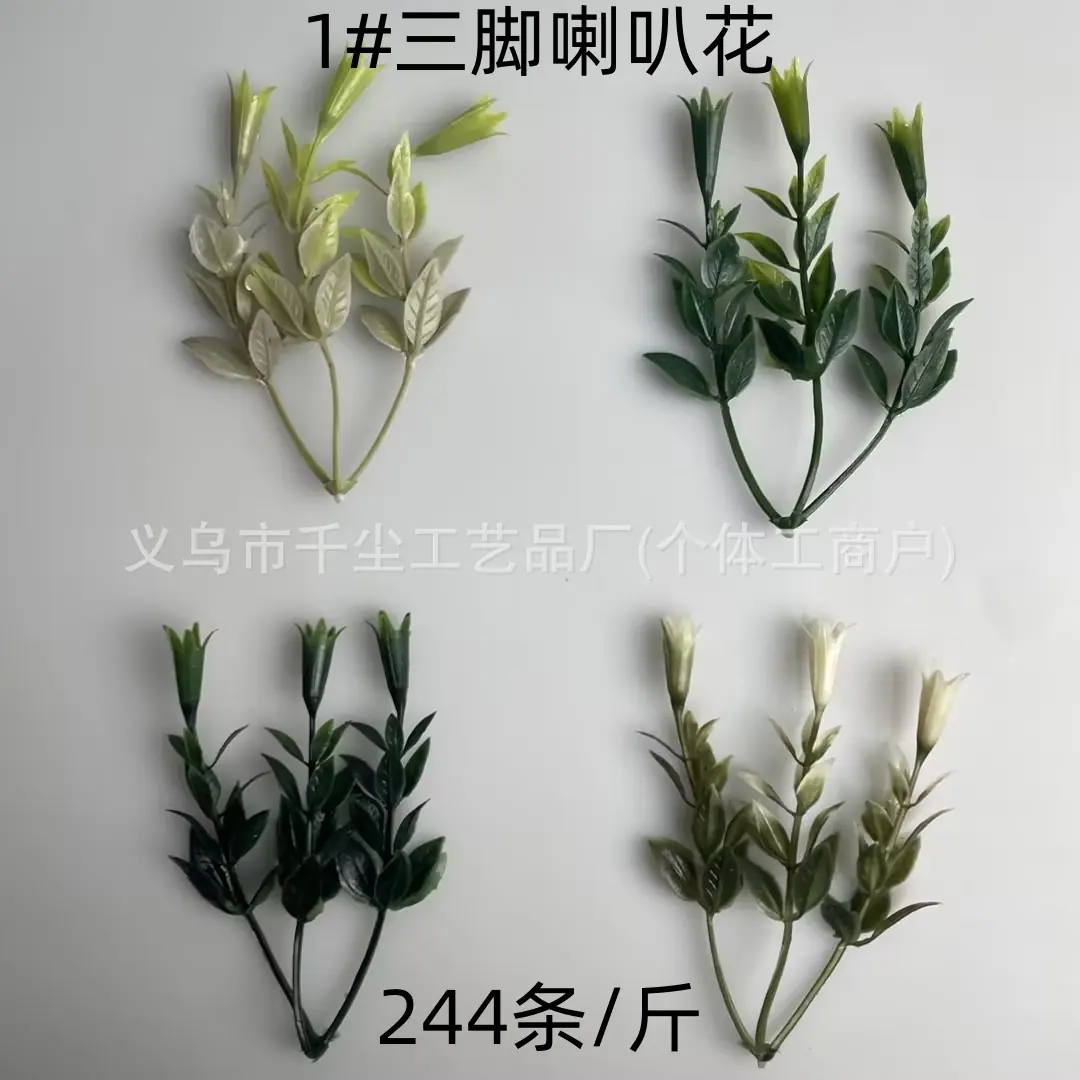 1#三脚喇叭花.jpg