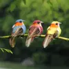 Pájaro de simulación, espuma de alambre, artesanía de pájaro, pájaro de simulación, floricultura de jardín, paquete de pájaro de plumas de colores, decoración DIY