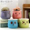 Vaso de Flor Suculenta Cerâmica Preço Especial Liquidação Esmaltado Tamanhos Grande e Pequeno Simples Pastoral Mesa Vasos de Barro Respirável Plantas Leede Estoque
