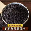 Arroz Preto do Nordeste Glutinoso Arroz Roxo Wuchang Xiangke Preto 500 Grãos Grossos Arroz Aromático Mingau Arroz Novo Arroz Caseiro Autoproduzido