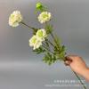 Flor de pinho simulação grama lagarta 4 fabricantes atacado casamento casamento Auditório Hotel decoração flor adereços vivos Flor Arte