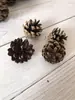 Acessórios para Fotos ZAKKA Floresta DIY Sacola de Flores Secas Pinha Bolota com Pregos Pode Pendurar Pingente Criativo Flor