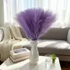 Adornos de Plumas de Hierba de Junco Nórdico Artificial para Exhibición en Sala de Estar, Estilo Ins, Hierba de Pampa Transfronteriza, Decoración de Boda, Accesorios Artificiales