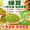 Judías Verdes en Grandes Cantidades, Adecuadas para Pasteles y Repostería, Sopa y Gachas de Judías Verdes Fáciles de Cocinar, Judías Verdes Frescas, Soporta Dropshipping, Venta al por Mayor y al por Menor