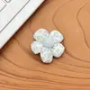 Accesorios del fabricante con estampado de leopardo, lunares y florales en stock: pinzas para el cabello, accesorios para el cabello, bolsos, accesorios para ropa de niños, accesorios para mascotas